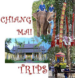 Chiang Mai Trips