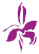Chiang Mai Orchid Logo